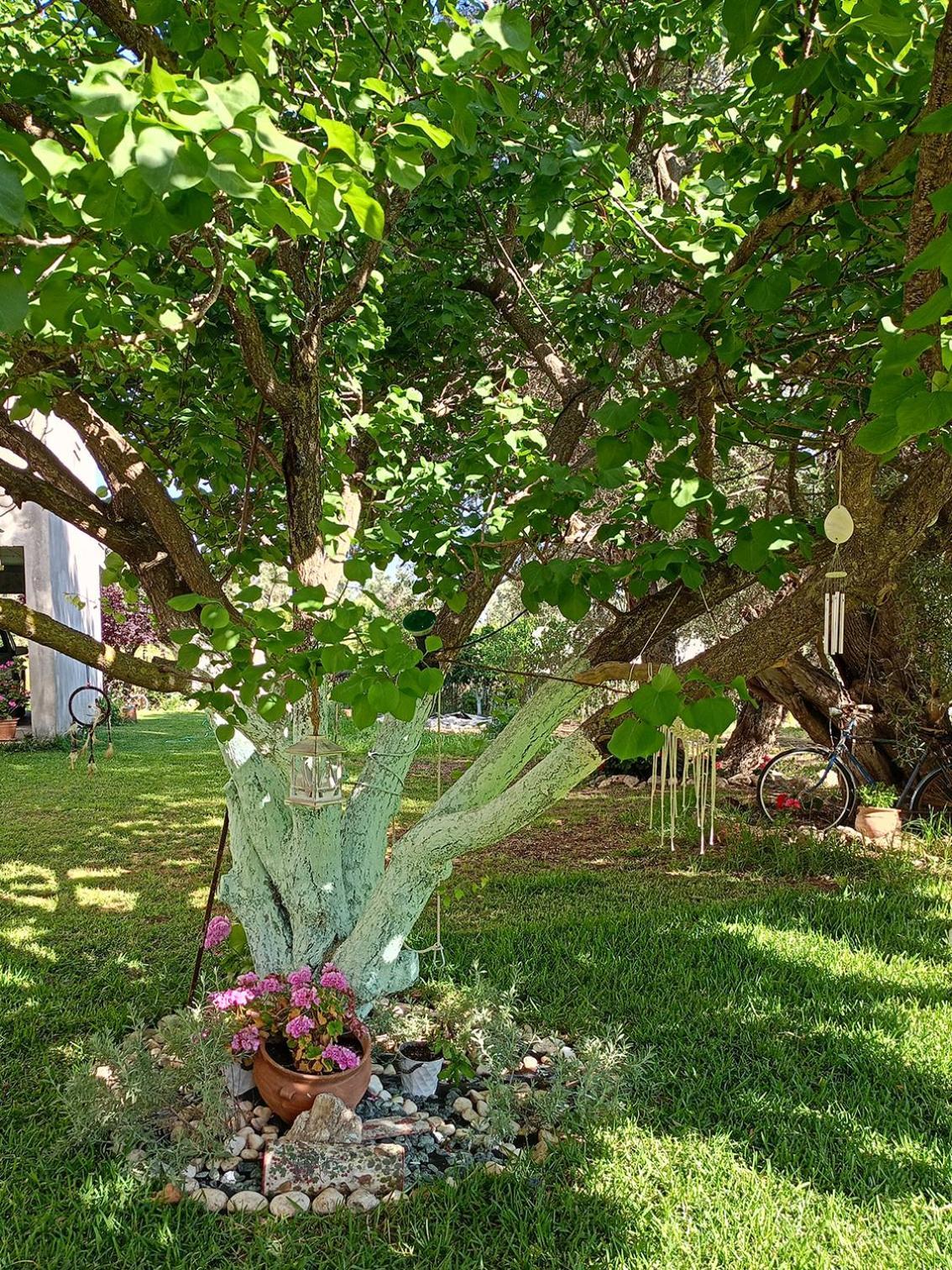 Aeraki House Apartment Lefkada City Exterior photo